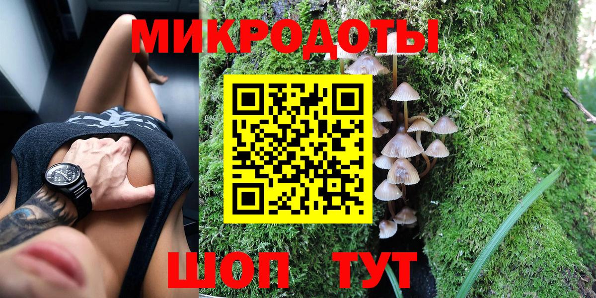 Сокол  Галлюциногенные грибы Psilocybe  Вход с VPN 
